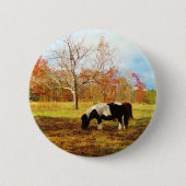 Zwarte en witte miniatuur Pony/paarden Ronde Button 5,7 Cm (Voorkant)