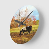 Zwarte en witte miniatuur Pony/paarden Ronde Klok (Hoek)