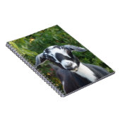 Zwarte en witte miniatuurgarnaal notitieboek (Rechterzijde)