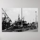 Zwarte en witte monochrome havikkers poster (Voorkant)