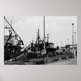 Zwarte en witte monochrome havikkers poster