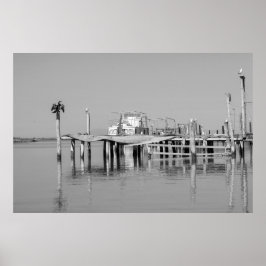 Zwarte en witte monochrome Zee oceaanpier vogels Poster