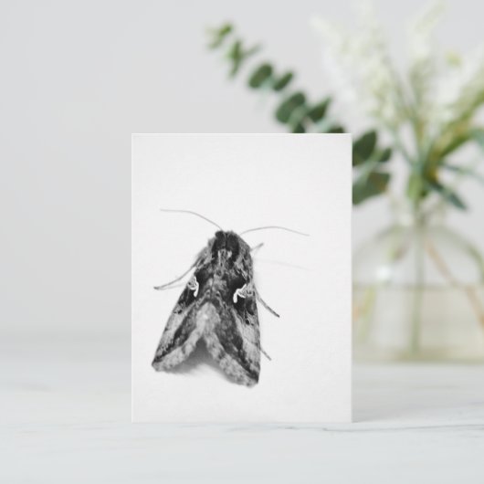 Zwarte en witte mot briefkaart (Staand voorkant)