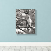 Zwarte en witte Natuur Red schuurde Hawk Canvas Afdruk (Insitu (Houten vloer))