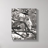 Zwarte en witte Natuur Red schuurde Hawk Canvas Afdruk (Voorkant)