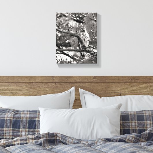 Zwarte en witte Natuur Red schuurde Hawk Canvas Afdruk (Insitu (Slaapkamer))