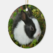 Zwarte en Witte Nederlandse Dwarf Mini Bunny Rabbi Keramisch Ornament (Links)