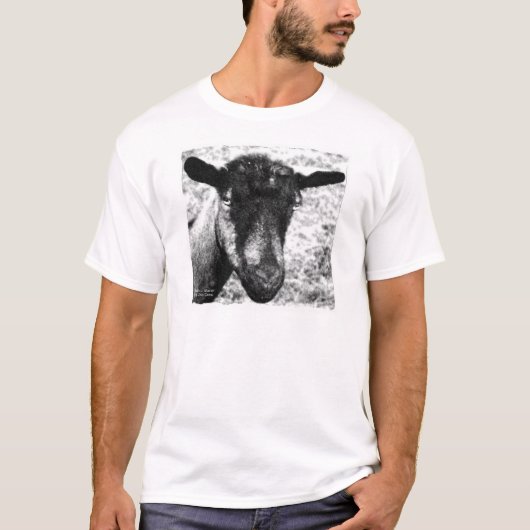 Zwarte en witte Oberhasli-geit uitzicht T-shirt (Voorkant)