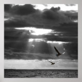 Zwarte en witte Oceaan Poster (Voorkant)