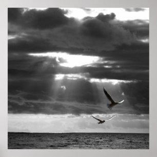 Zwarte en witte Oceaan  Poster