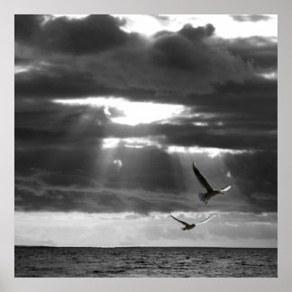 Zwarte en witte Oceaan Poster