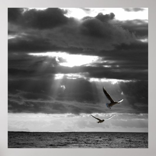 Zwarte en witte Oceaan Poster (Voorkant)