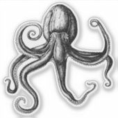 Zwarte en witte octopus sticker (Voorkant)