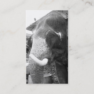 Zwarte en witte olifant visitekaartje