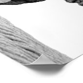 Zwarte en witte olifant Wilde afrikaanse dierfoto Poster (Hoek)