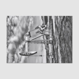 Zwarte en witte olivelpompeenheid tissuepapier