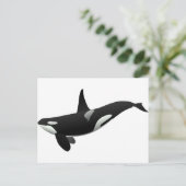 Zwarte en Witte Orca Killer Whale Briefkaart (Staand voorkant)