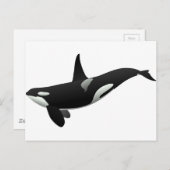 Zwarte en Witte Orca Killer Whale Briefkaart (Voorkant / Achterkant)