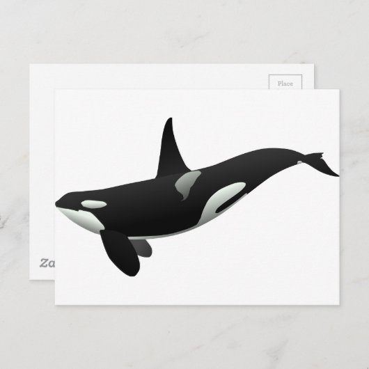 Zwarte en Witte Orca Killer Whale Briefkaart (Voorkant / Achterkant)