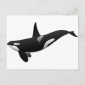 Zwarte en Witte Orca Killer Whale Briefkaart (Voorkant)