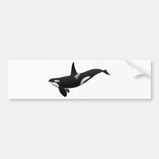 Zwarte en Witte Orca Killer Whale Bumpersticker (Voorkant)