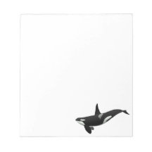 Zwarte en Witte Orca Killer Whale