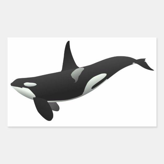 Zwarte en Witte Orca Killer Whale Rechthoekige Sticker (Voorkant)