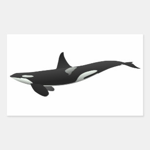 Zwarte en witte orca Killer Whale Rechthoekige Sticker