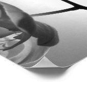 Zwarte en witte orchidee bloemen op de stom poster (Hoek)