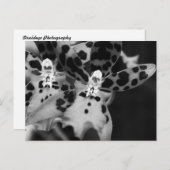 Zwarte en witte orchideeën briefkaart (Voorkant / Achterkant)