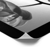 Zwarte en witte orchideeën op de stok poster (Hoek)