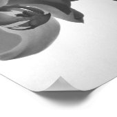 Zwarte en witte orchideeën op de stok poster (Hoek)