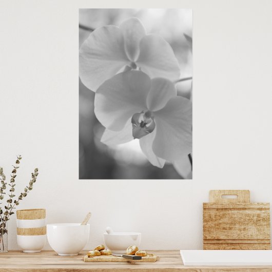 Zwarte en witte orchideeën poster (Keuken)