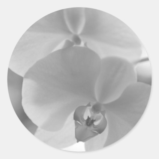 Zwarte en witte orchideeën ronde sticker (Voorkant)