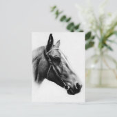 Zwarte en witte paarden briefkaart (Staand voorkant)