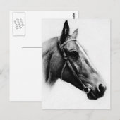 Zwarte en witte paarden briefkaart (Voorkant / Achterkant)