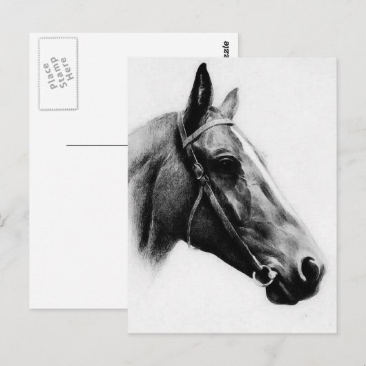 Zwarte en witte paarden briefkaart (Voorkant / Achterkant)
