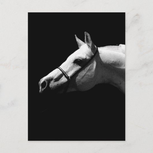 Zwarte en witte paarden briefkaart (Voorkant)