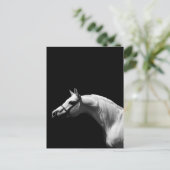 Zwarte en witte paarden briefkaart (Staand voorkant)