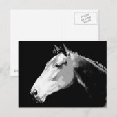 Zwarte en witte paarden briefkaart (Voorkant / Achterkant)