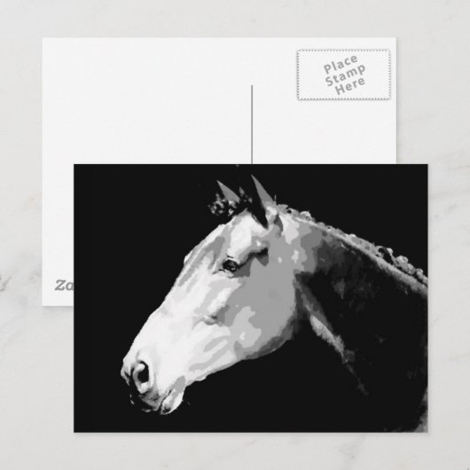 Zwarte en witte paarden briefkaart (Voorkant / Achterkant)