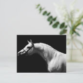 Zwarte en witte paarden feestdagenkaart (Staand voorkant)