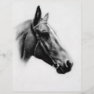 Zwarte en witte paarden flyer