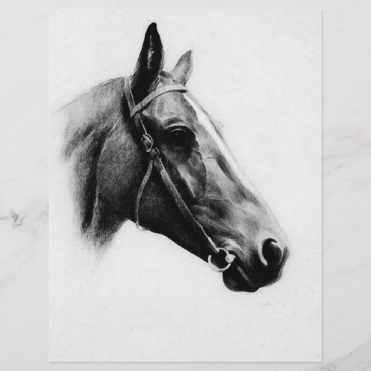 Zwarte en witte paarden flyer (Voorkant)