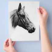 Zwarte en witte paarden flyer (Hand)