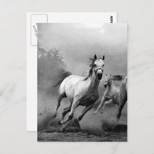 Zwarte en witte paarden lopen briefkaart (Voorkant / Achterkant)