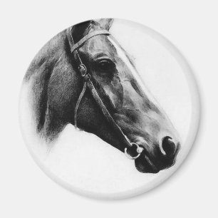 Zwarte en witte paarden magneet