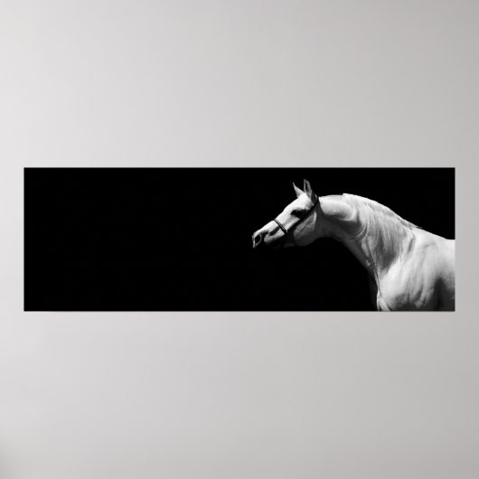 Zwarte en witte paarden poster (Voorkant)