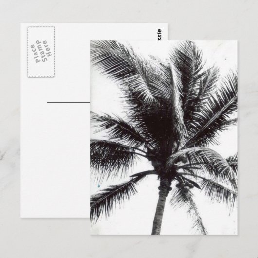 Zwarte en witte palm briefkaart (Voorkant / Achterkant)