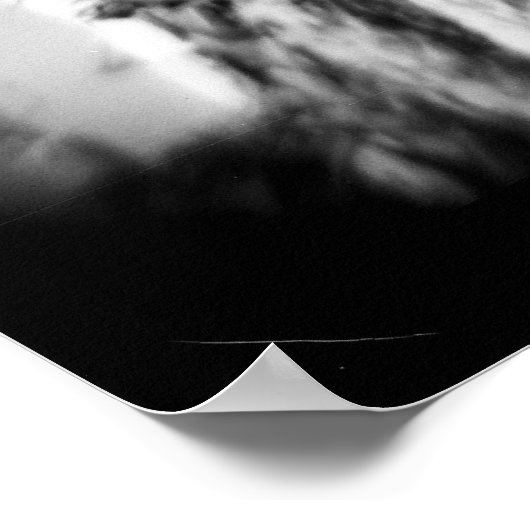 Zwarte en witte palm poster (Hoek)